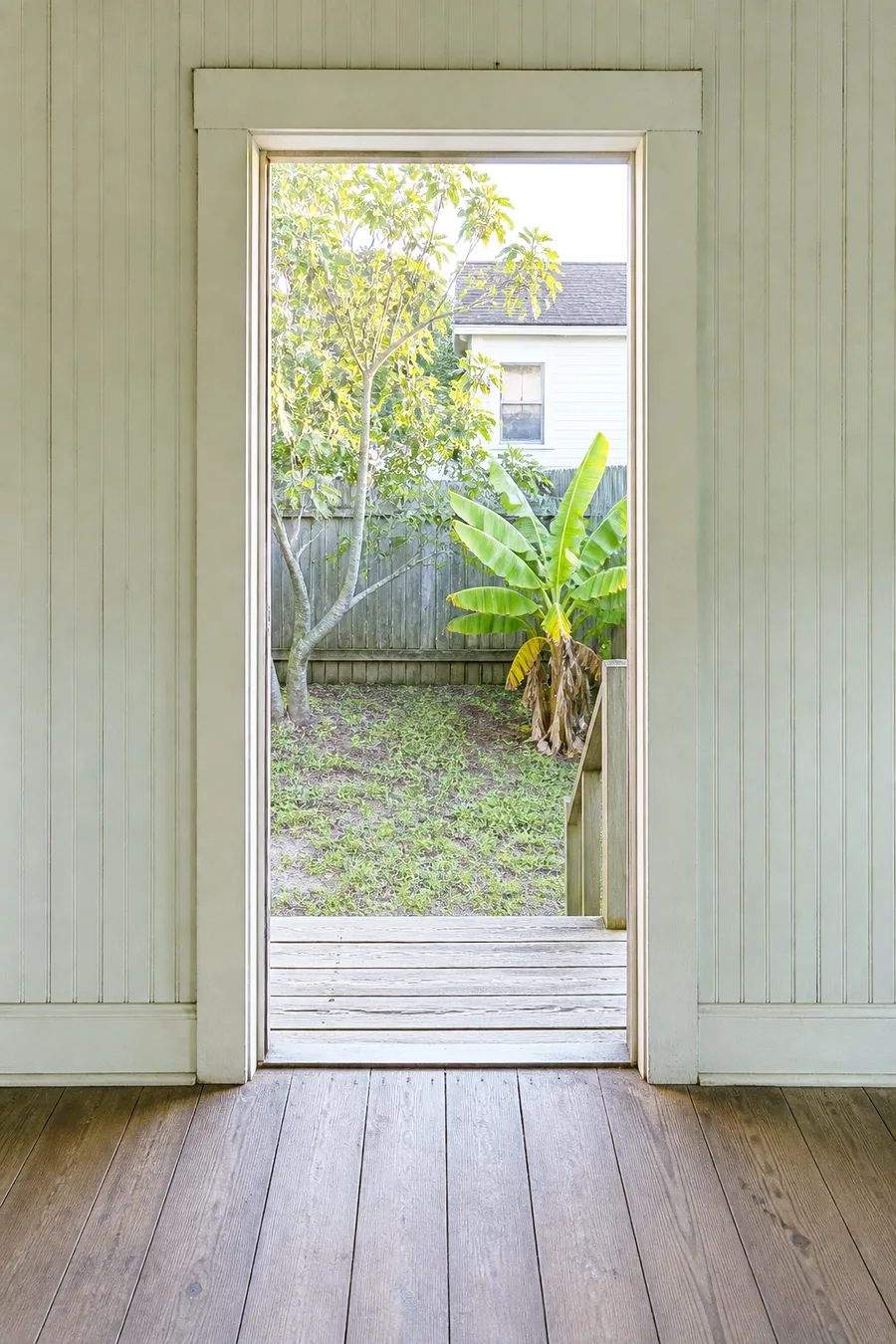 The open back door of the house, looking out at a small yard with a fig tree and a banana plant in late evening light.